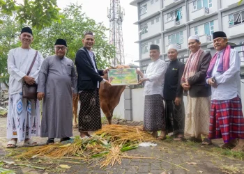 Unisma Malang turut menyalurkan bantuan hewan kurban di beberapa titik lokasi.