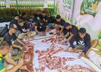 Pegadaian Cabang Kotalama turut menyalurkan hewan kurban dalam Idul Adha 1444H.
