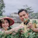 Tamu Grand Mercure Malang Mirama saat panen sayur-sayuran
