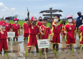 Tips memilih TK terdekat untuk anak.