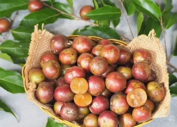 buah