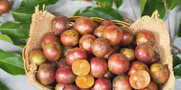 buah