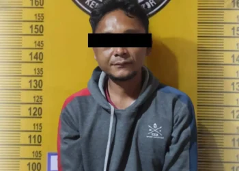 burung kenari dicuri