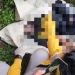 Mayat Pencuri yang kabur