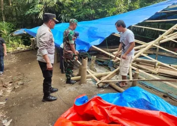 Petugas bongkar arena judi sabung ayam yang ada di Desa Ngawonggo, Kecamatan Tajinan, Kabupaten Malang