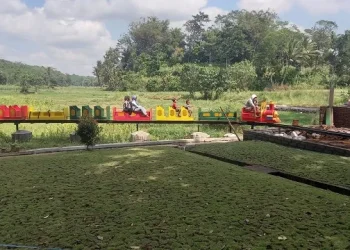 Wahana kereta sawah yang ada di Sumber Sira