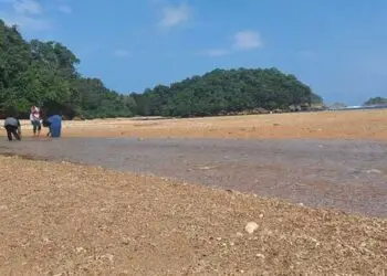 pasir pantai