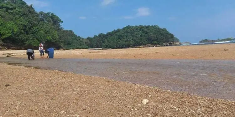 pasir pantai
