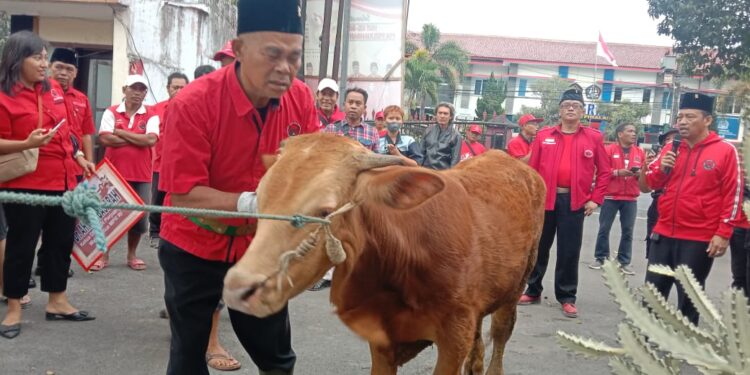 DPC PDIP Kota Malang ikut jalankan kurban di Idul Adha 2023.