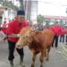 DPC PDIP Kota Malang ikut jalankan kurban di Idul Adha 2023.