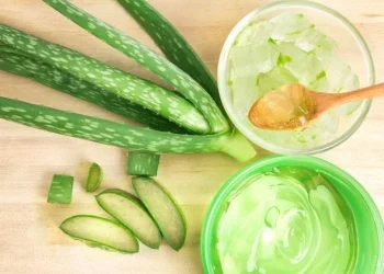 Membuat masker rambut dari Aloe Vera.