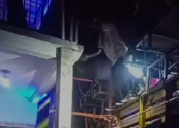 Tampak seorang pria menghancurkan tembok atap rumah dengan menaiki mobil pengangkut sound system. Diketahui, peristiwa itu terjadi di Malang, Jawa Timur.