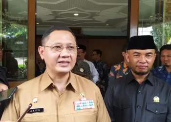 Kota batu
