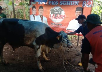 Pelaksanaan kurban di DPC PKS Sukun Kota Malang (dok. DPC PKS Sukun Kota Malang)