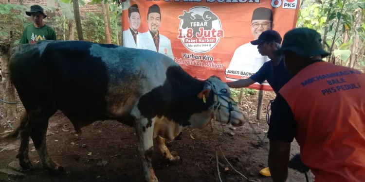 Pelaksanaan kurban di DPC PKS Sukun Kota Malang (dok. DPC PKS Sukun Kota Malang)