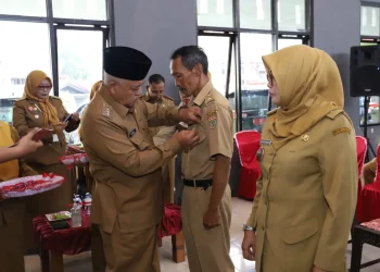 Bupati Malang sematkan Kades Desa Mandiri