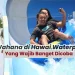 wahana di hawai waterpark