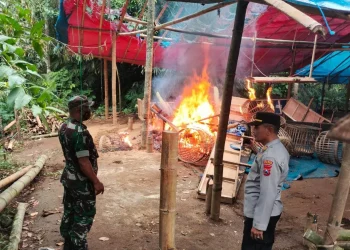 judi sabung ayam di malang digerebek