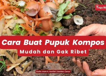 Cara buat pupuk kompos