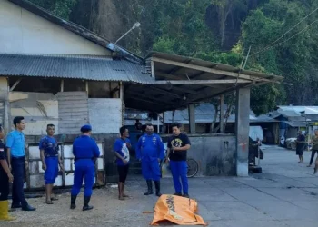 Sulit diidentifikasi mayat temuan di Sendangbiru polisi akan lalukan tes DNA