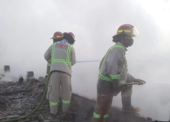 kandang anak ayam terbakar