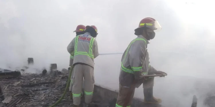 kandang anak ayam terbakar