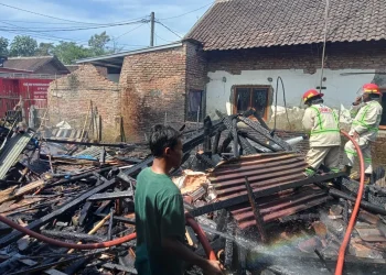 kandang ayam dan gudang pupuk kebakaran