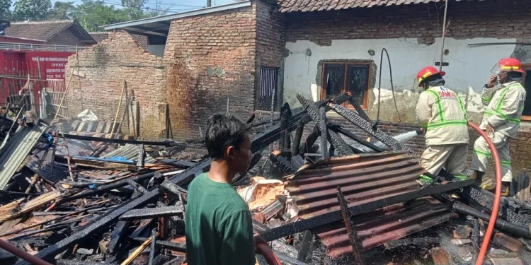 kandang ayam dan gudang pupuk kebakaran