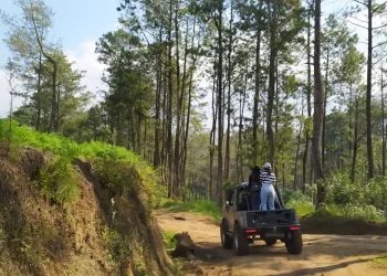 Lanskap kawasan hutan pegunungan di Gunung Pucung, Kecamatan Bumiaji, Kota Batu.