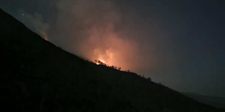 Kebakaran hutan di lereng Gunung Arjuno.