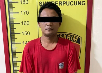 Tersangka AM berhasil diamankan polisi dan kini mendekam di rutan Polsek Sumberpucung.