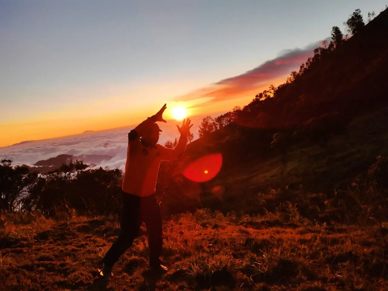Pemandangan