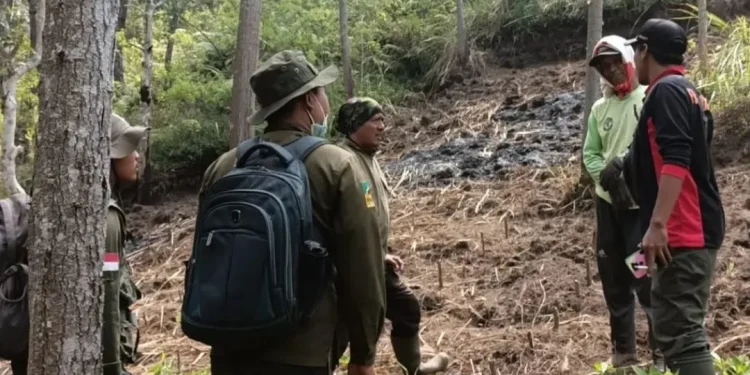 Tim gabungan Profauna Indonesia, Perhutani, BPBD, dan Polsek melakukan patrol hutan dengan turut melibatkan peran masyarakat lokal.