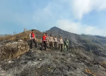 Kebakaran lereng Gunung Arjuno di wilayah Kabupaten Malang berhasil dipadamkan.