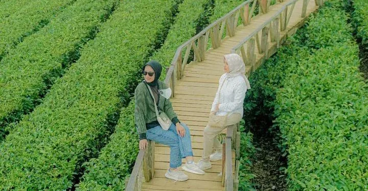 Foto salah satu pengunjung Wisata Kebun Teh Wonosari.