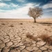 Kekeringan akibat fenomena el nino