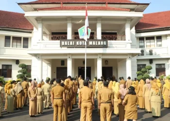 lowongan PPPK