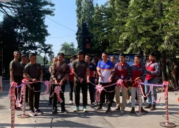 kawasan budaya olahraga