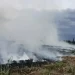dampak el-nino di kota batu