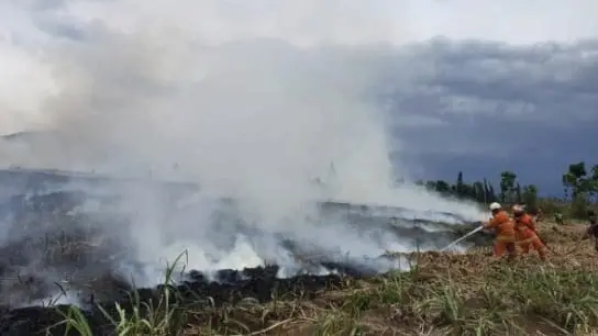dampak el-nino di kota batu