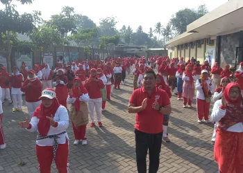 H Puguh Wiji Pamungkas