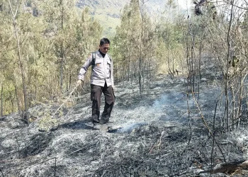 lereng gunung arjuno kebakaran