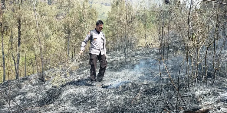 lereng gunung arjuno kebakaran