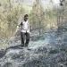 lereng gunung arjuno kebakaran