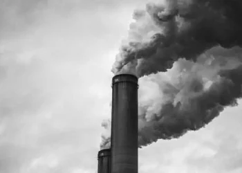 A Glimpse into Pollutant Emissions from Industrial Sources.