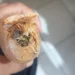 Bungkusan narkoba yang ditemukan di dalam area lapas.