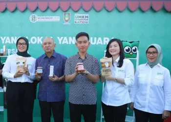 Hari UMKM nasional