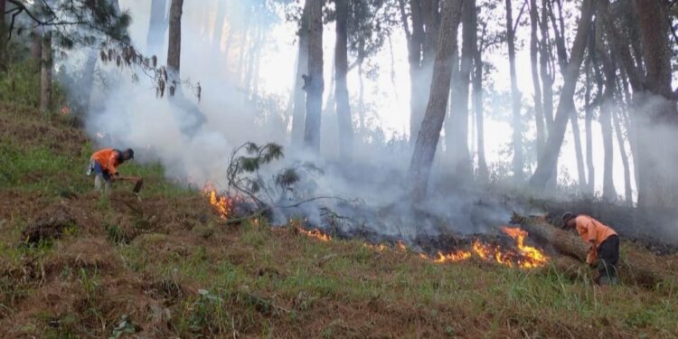 Proses pemadaman api yang merembet ke wilayah hutan produksi di kawasan Payung 3 Kota Batu, Selasa (19/9/2023).