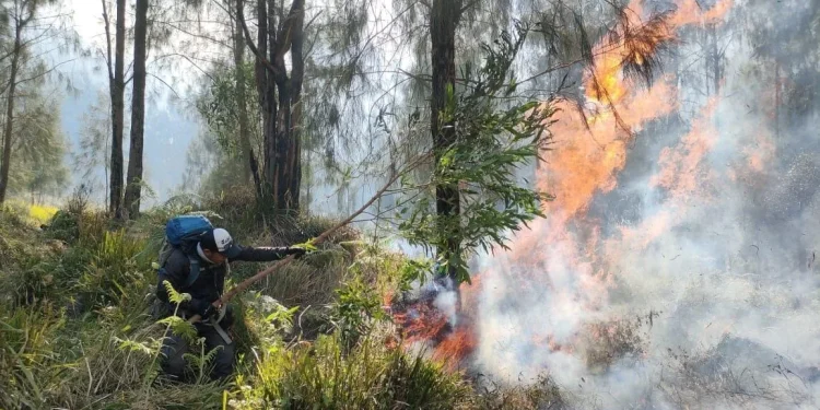 Penanganan kebakaran di lereng Gunung Arjuna terus dilakukan. Hingga saat ini, api sudah melahap sekitar 907 hektar lahan di wilayah Kota Batu.
