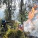 Penanganan kebakaran di lereng Gunung Arjuna terus dilakukan. Hingga saat ini, api sudah melahap sekitar 907 hektar lahan di wilayah Kota Batu.